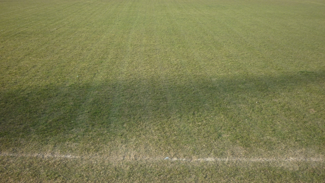 P1050990